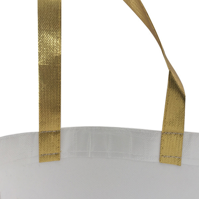 O OEM 50cm laminou o saco não tecido de 38x12x30cm Eco