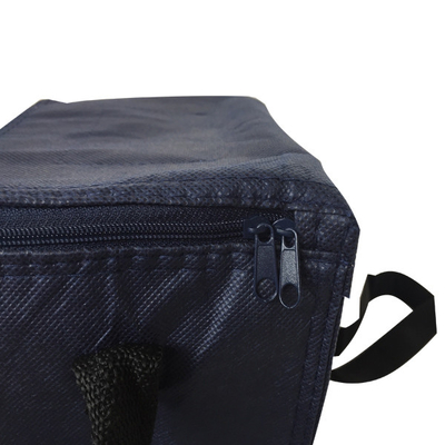 O OEM não tecido 80gsm de 20x15x18cm CMKY isolou um saco mais fresco