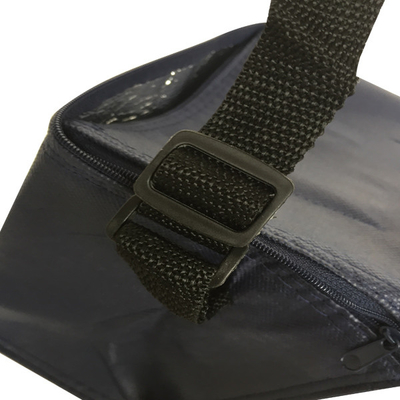 O OEM não tecido 80gsm de 20x15x18cm CMKY isolou um saco mais fresco